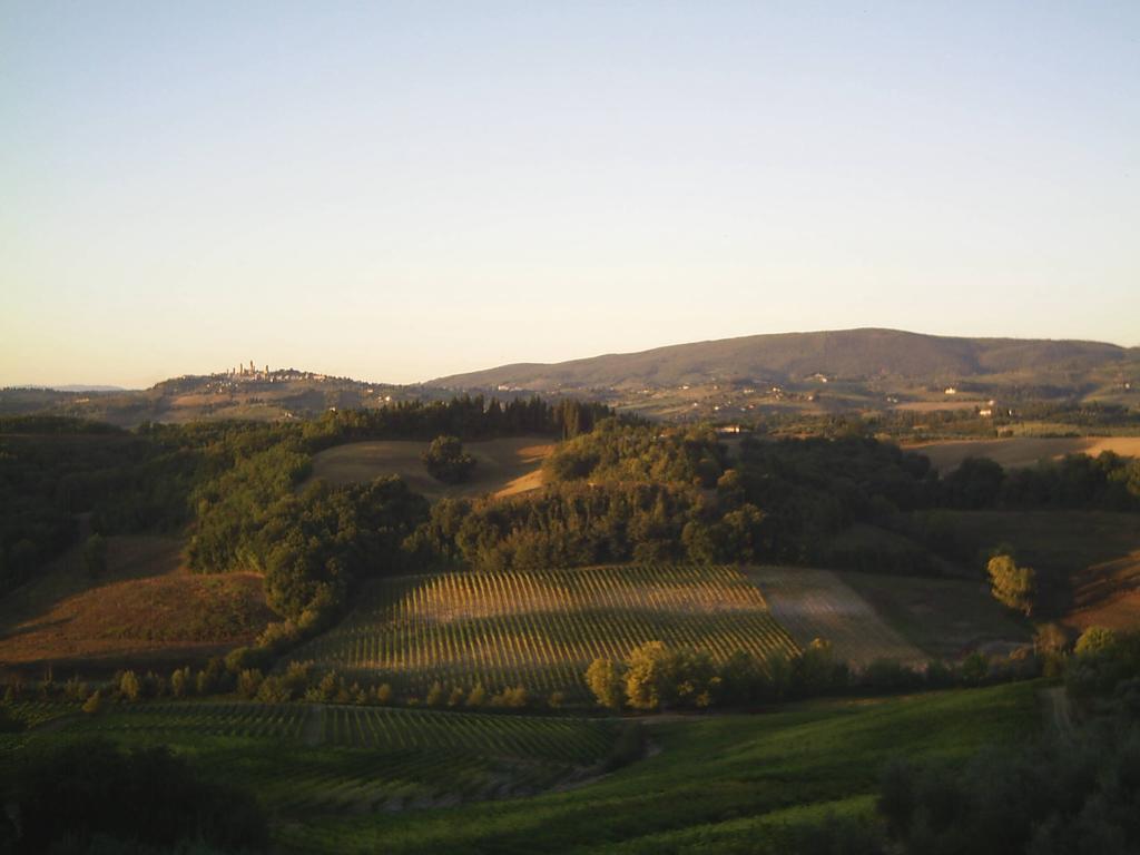 Agriturismo Azienda Agricola La Roccaia 산지미냐노 외부 사진